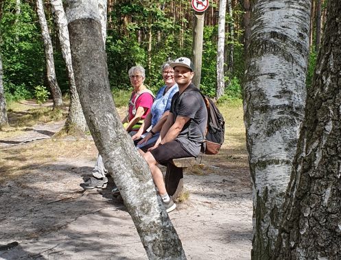 Let's Flow GmbH - Bildungsurlaub Wandern und Resilienz stärken in der Schorfheide