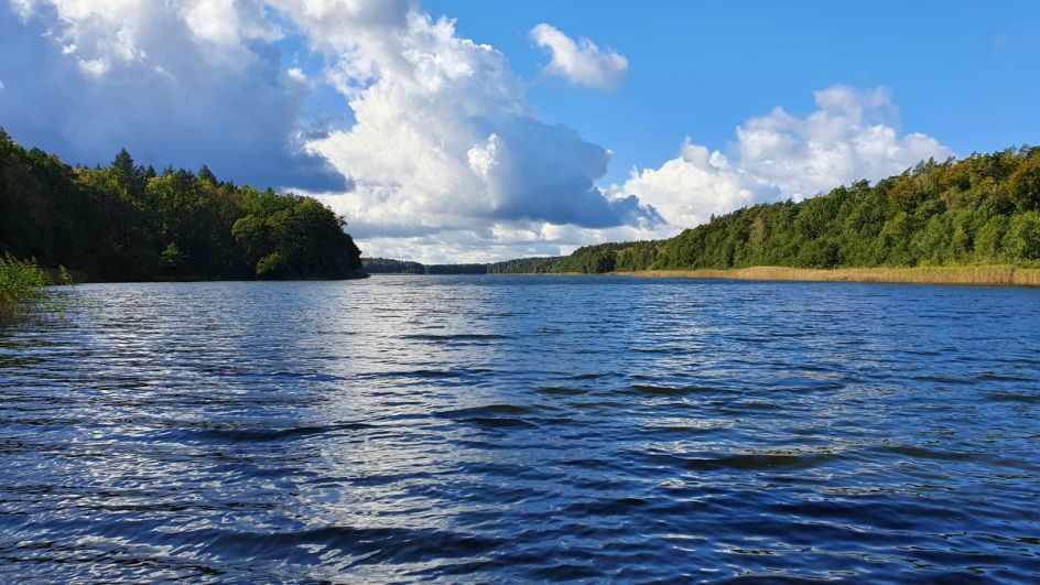 Let's Flow GmbH - Bildungsurlaub Wandern und Resilienz stärken in der Schorfheide