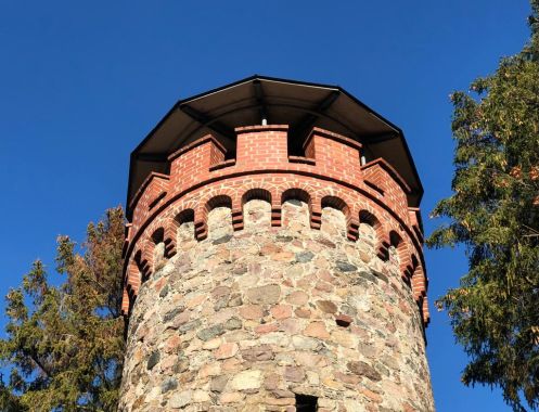 Let's Flow GmbH - Bildungsurlaub Wandern und Resilienz stärken in der Schorfheide