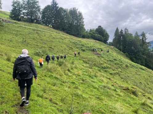 Let's Flow GmbH - Bildungsurlaub Wandern und Kommunikationsfähigkeit stärken im Allgäu