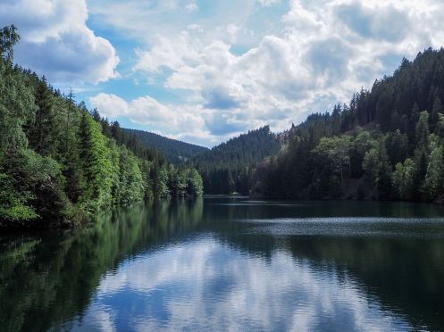 Let's Flow GmbH - Bildungsurlaub Wandern und Ressourcen bewusst nutzen in St. Johann