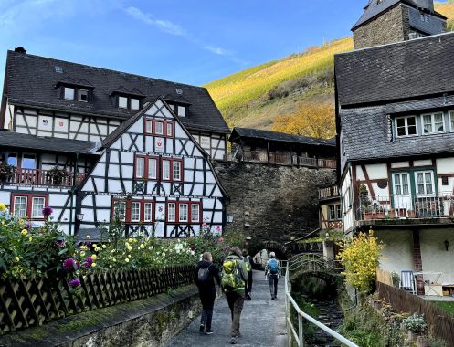 Let's Flow GmbH - Bildungsurlaub Wandern und Antistresstrainer*in werden in Bad Berleburg