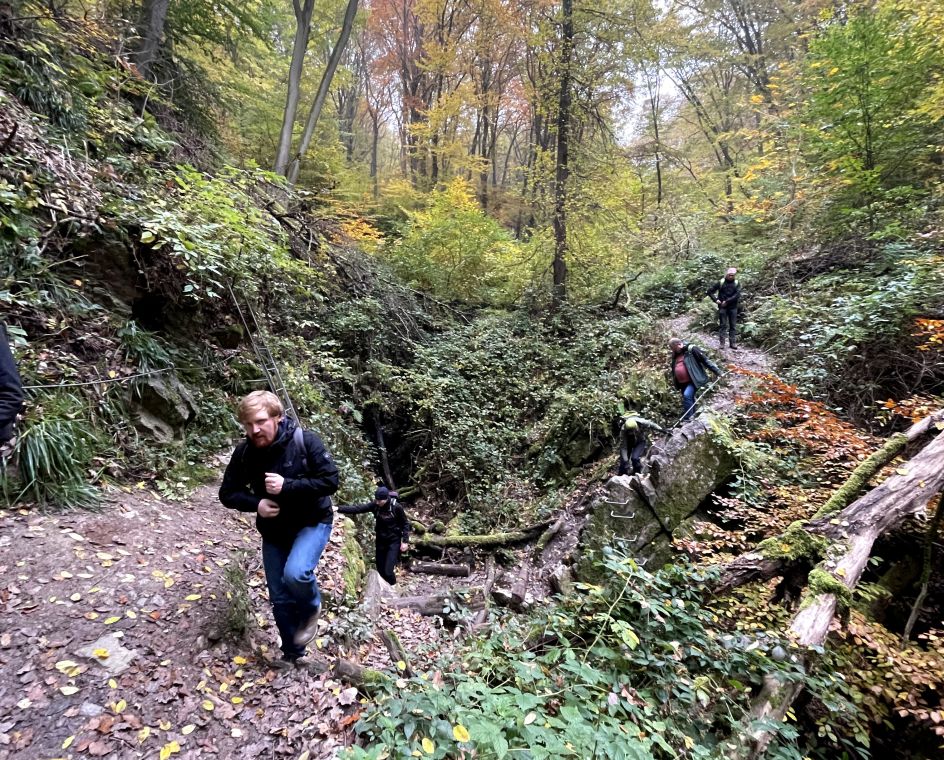 Let's Flow GmbH - Bildungsurlaub Wandern und Resilienz stärken in Bad Berleburg
