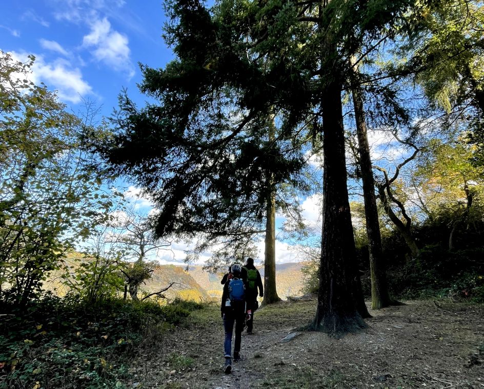 Let's Flow GmbH - Bildungsurlaub Wandern und Resilienz stärken in Bad Berleburg
