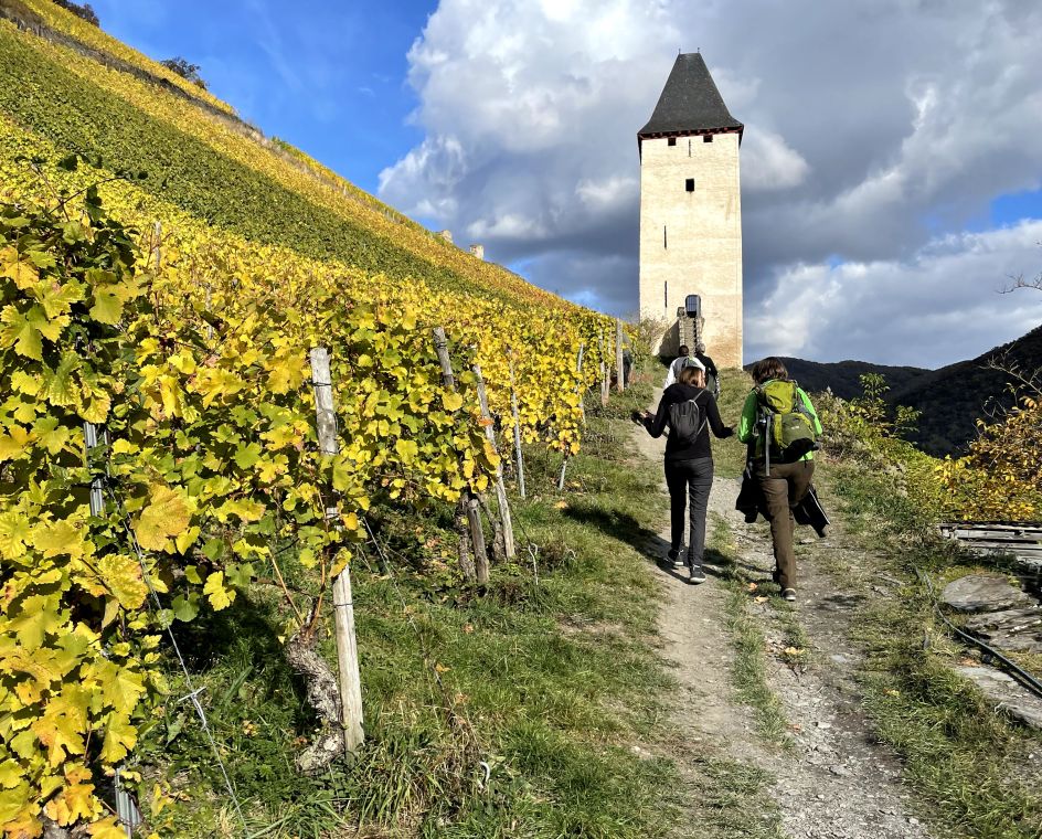 Let's Flow GmbH - Bildungsurlaub Wandern und Resilienz stärken in Bad Berleburg