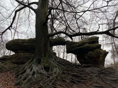 Let's Flow GmbH - Bildungsurlaub Wandern und Kommunikationsfähigkeit stärken in der Sächsische Schweiz (Margaretenhof)