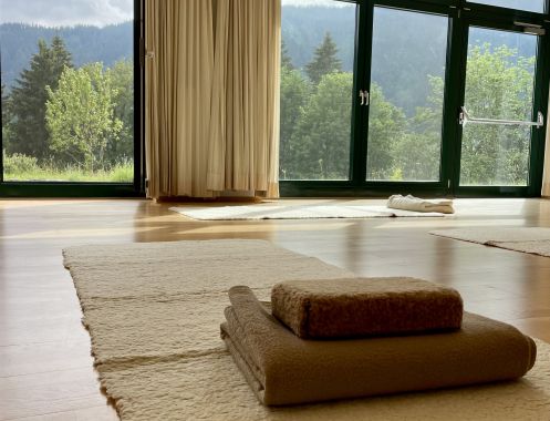 Let's Flow GmbH - Bildungsurlaub Yoga und Ressourcen bewusst nutzen in Reith bei Kitzbühel