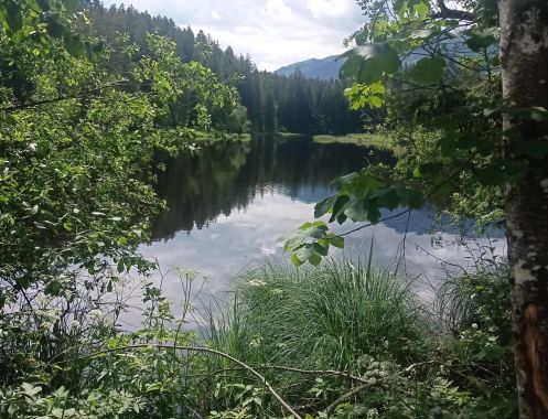 Let's Flow GmbH - Bildungsurlaub Yoga und Ressourcen bewusst nutzen in Reith bei Kitzbühel
