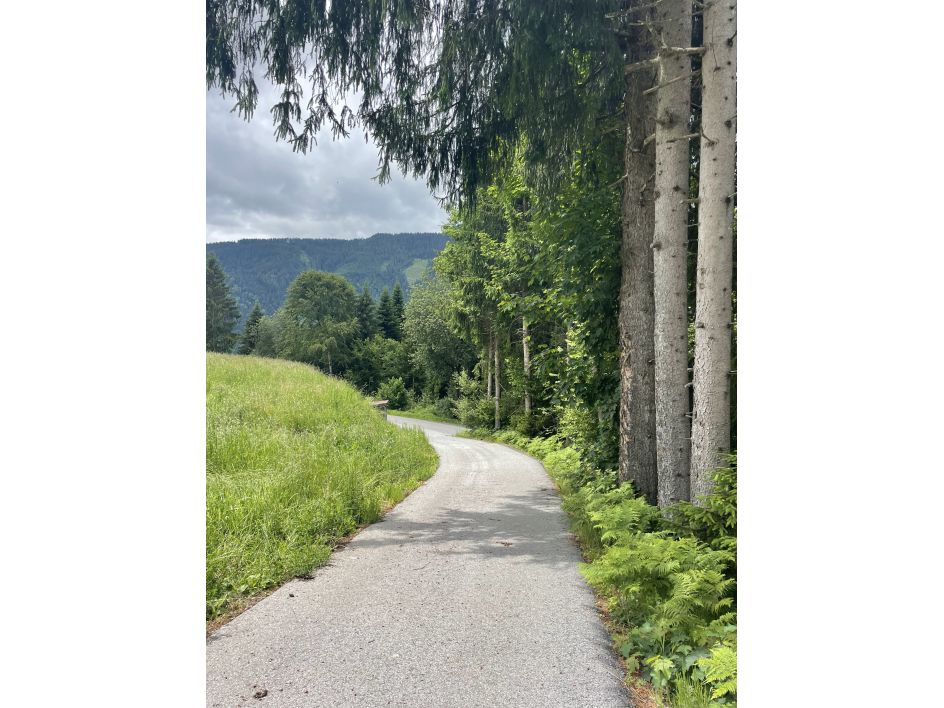 Let's Flow GmbH - Bildungsurlaub Yoga und Ressourcen bewusst nutzen in Reith bei Kitzbühel