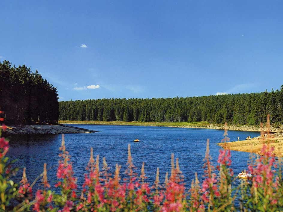 Let's Flow GmbH - Bildungsurlaub Wandern und Resilienz stärken im Harz