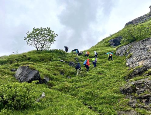 Let's Flow GmbH - Bildungsurlaub Wandern und Ressourcen bewusst nutzen in Kaprun