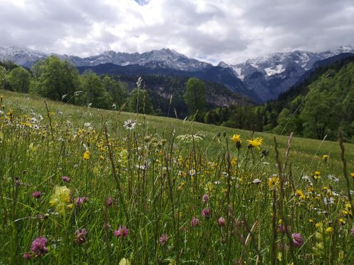 Let's Flow GmbH - Bildungsurlaub Wandern und Ressourcen bewusst nutzen in Kaprun