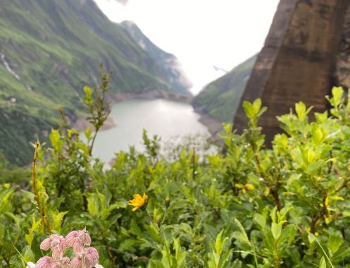 Let's Flow GmbH - Bildungsurlaub Wandern und Ressourcen bewusst nutzen in Kaprun