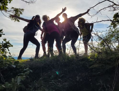 Let's Flow GmbH - Bildungsurlaub Wandern und Resilienz stärken im Schwarzwald