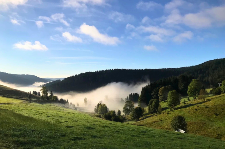 Let's Flow GmbH - Bildungsurlaub Wandern und Resilienz stärken im Schwarzwald
