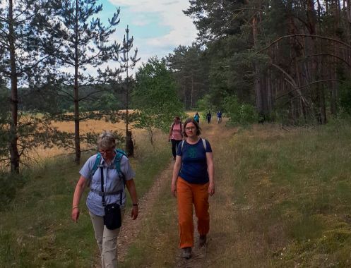 Let's Flow GmbH - Bildungsurlaub Wandern und Antistresstrainer*in werden im Schwarzwald
