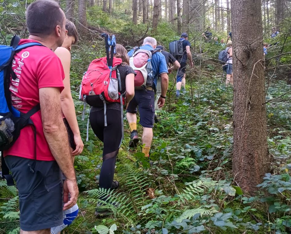 Let's Flow GmbH - Bildungsurlaub Wandern und Antistresstrainer*in werden im Schwarzwald