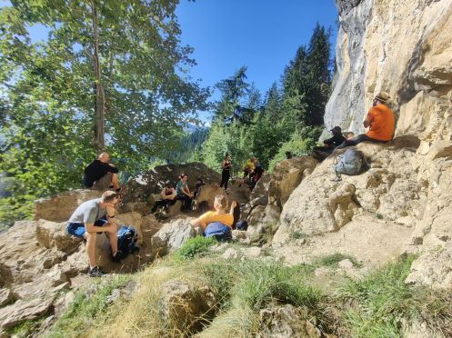 Let's Flow GmbH - Bildungsurlaub Wandern und Antistresstrainer*in werden im Schwarzwald