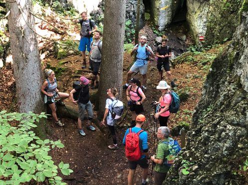 Let's Flow GmbH - Bildungsurlaub Wandern und Antistresstrainer*in werden im Schwarzwald