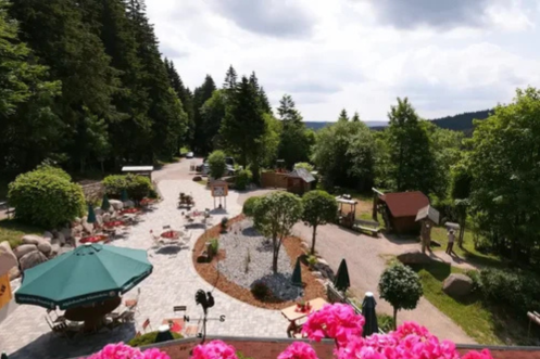Let's Flow GmbH - Bildungsurlaub Wandern und Antistresstrainer*in werden im Schwarzwald