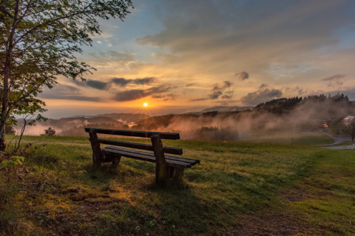 Let's Flow GmbH - Bildungsurlaub Wandern und Antistresstrainer*in werden im Schwarzwald