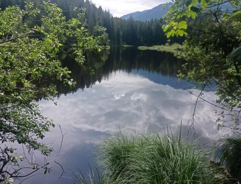 Let's Flow GmbH - Bildungsurlaub Pilates und Resilienz stärken in Reith bei Kitzbühel