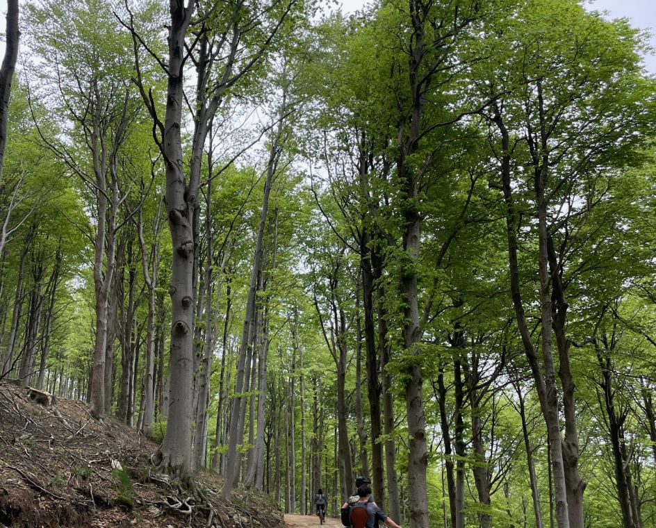 Let's Flow GmbH - Bildungsurlaub Mountainbiken und Ressourcen bewusst nutzen in Finale Ligure