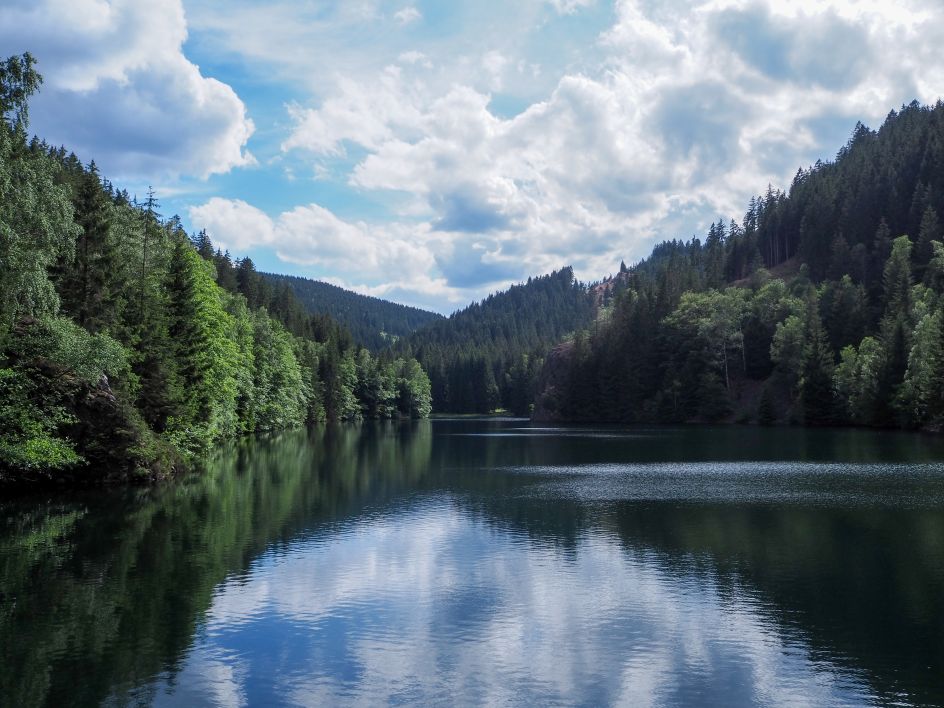 Let's Flow GmbH - Bildungsurlaub Mountainbiken und Resilienz stärken in Fiss