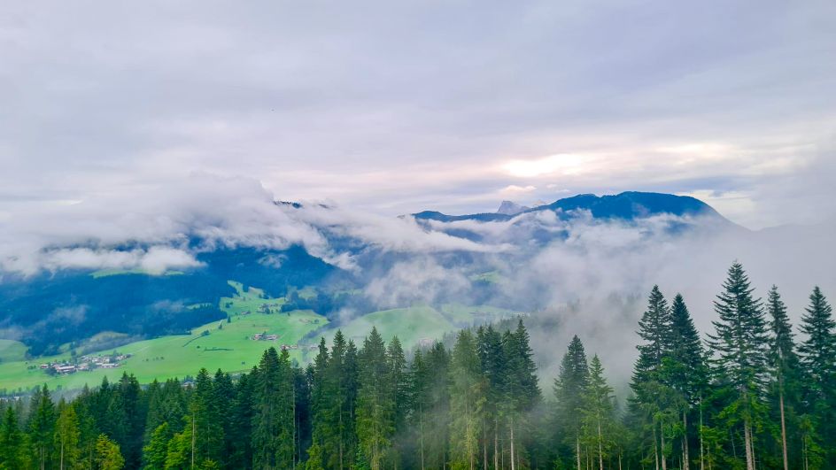 Let's Flow GmbH - Bildungsurlaub Mountainbiken und Ressourcen bewusst nutzen in Fiss