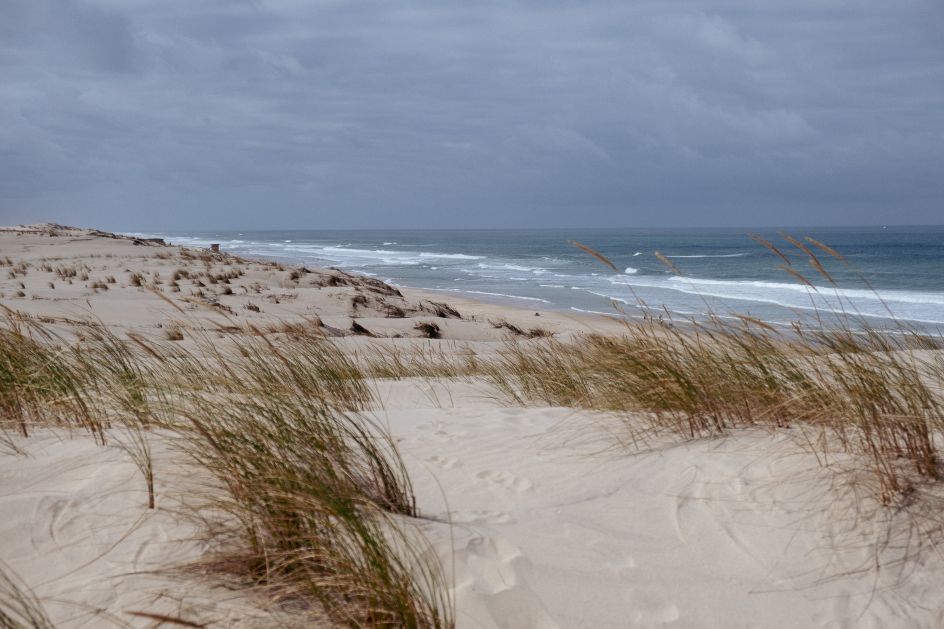 Let's Flow GmbH - Bildungsurlaub Surfen und Resilienz stärken in Carcans Plage