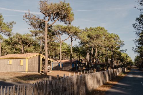 Let's Flow GmbH - Bildungsurlaub Surfen und Ressourcen bewusst nutzen in Carcans Plage