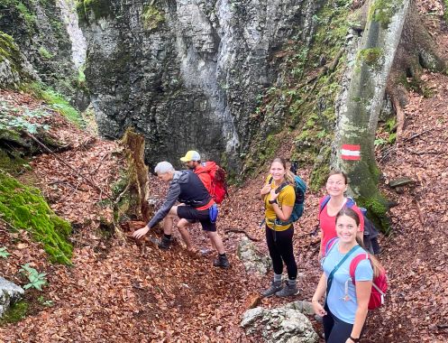Let's Flow GmbH - Bildungsurlaub Wandern und Selbstwahrnehmung schärfen in St. Johann