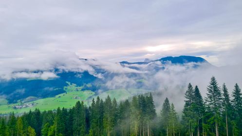 Let's Flow GmbH - Bildungsurlaub Wandern und Selbstwahrnehmung schärfen in St. Johann