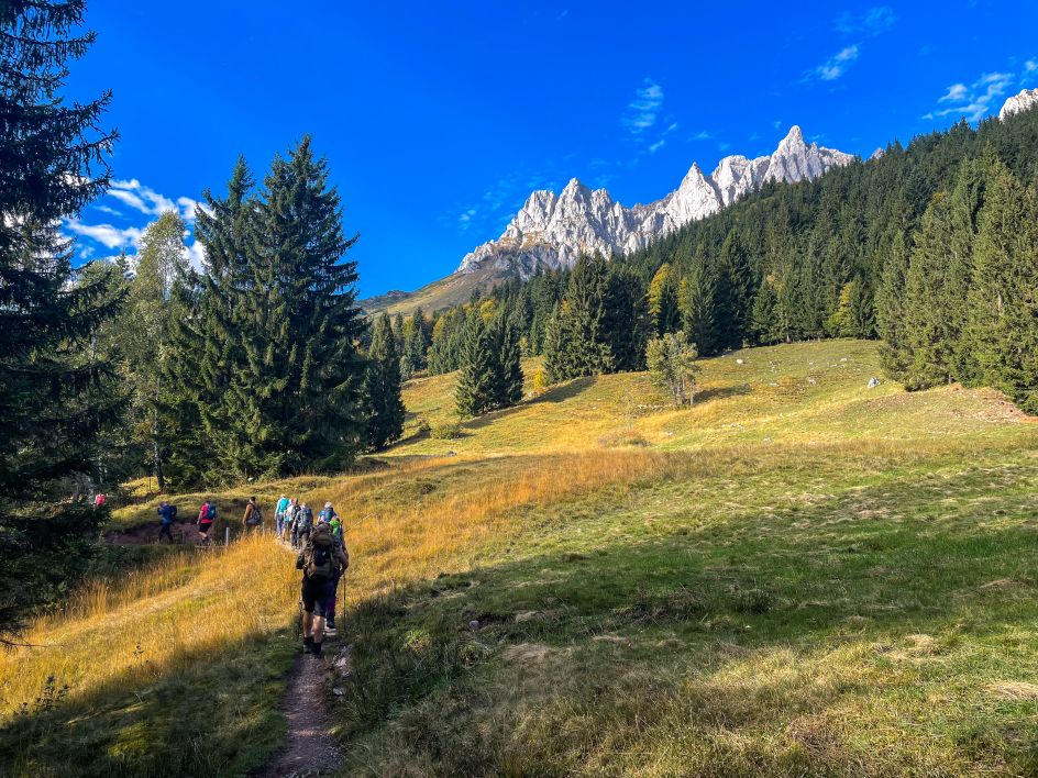 Let's Flow GmbH - Bildungsurlaub Wandern und Selbstwahrnehmung schärfen in St. Johann