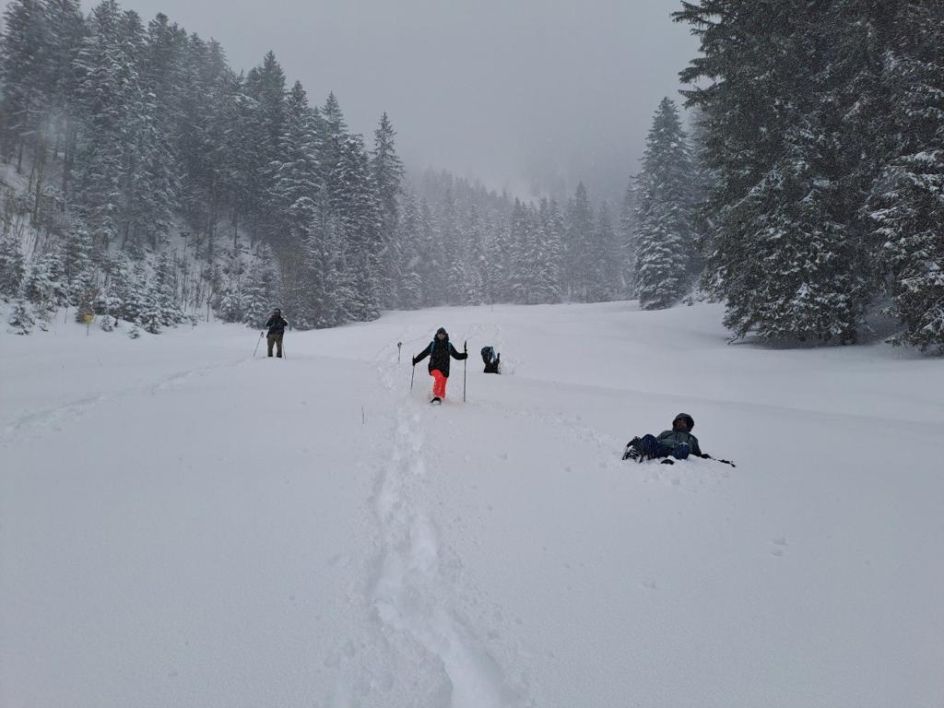Let's Flow GmbH - Bildungsurlaub Schneeschuhwandern und Resilienz stärken in Kirchdorf / Tirol