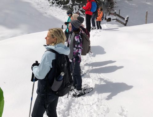 Let's Flow GmbH - Bildungsurlaub Schneeschuhwandern und Resilienz stärken in Kirchdorf / Tirol
