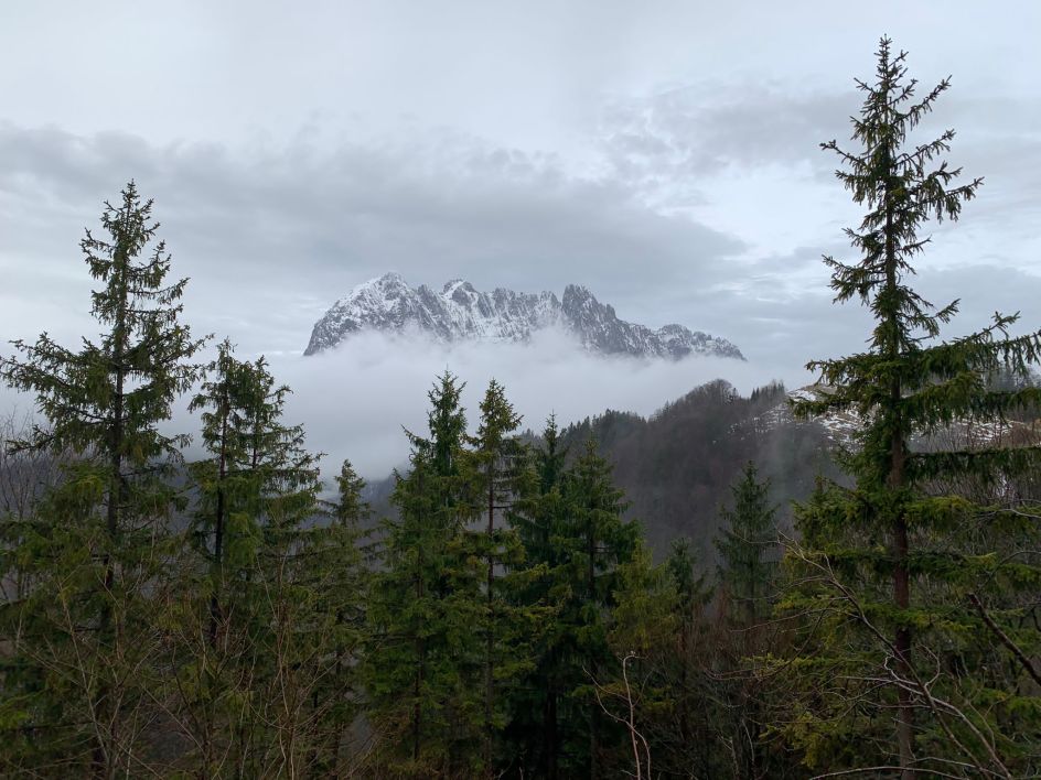 Let's Flow GmbH - Bildungsurlaub Schneeschuhwandern und Resilienz stärken in Kirchdorf / Tirol