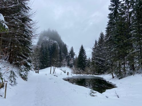 Let's Flow GmbH - Bildungsurlaub Schneeschuhwandern und Resilienz stärken in Kirchdorf / Tirol