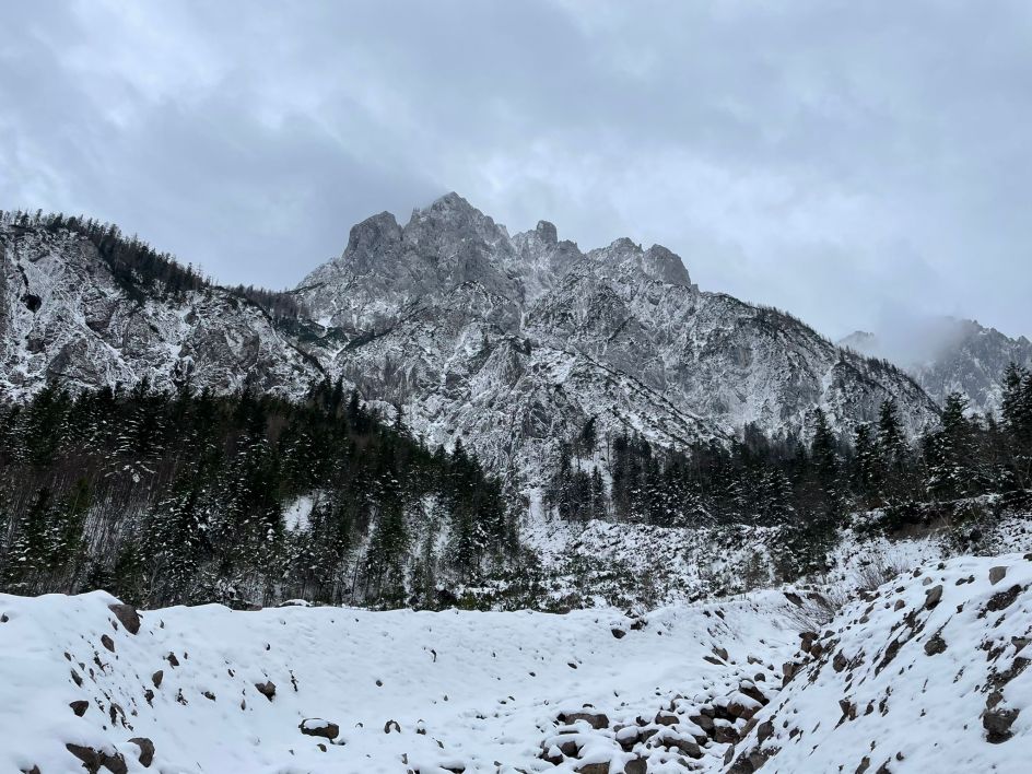 Let's Flow GmbH - Bildungsurlaub Schneeschuhwandern und Resilienz stärken in Kirchdorf / Tirol