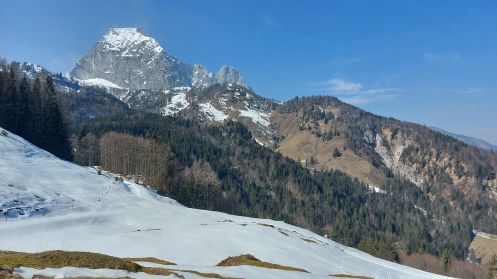 Let's Flow GmbH - Bildungsurlaub Schneeschuhwandern und Resilienz stärken in Kirchdorf / Tirol