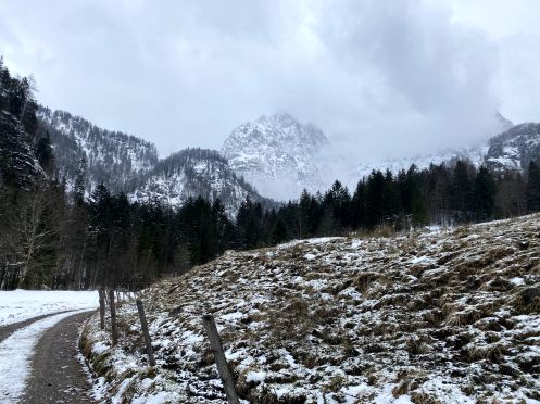 Let's Flow GmbH - Bildungsurlaub Schneeschuhwandern und Resilienz stärken in Kirchdorf / Tirol