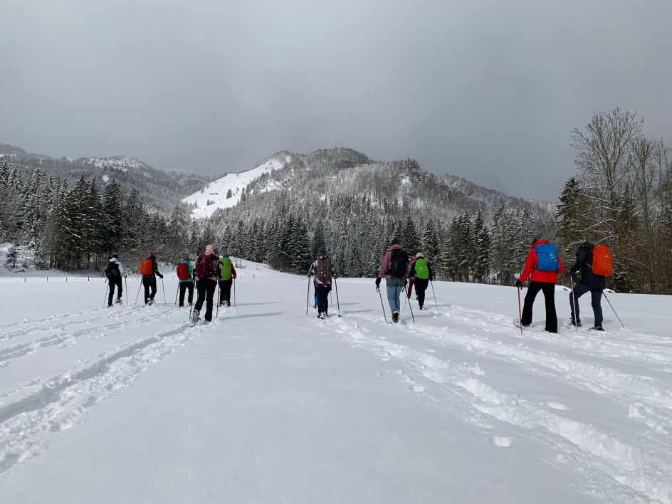 Let's Flow GmbH - Bildungsurlaub Schneeschuhwandern und Resilienz stärken in Kirchdorf / Tirol