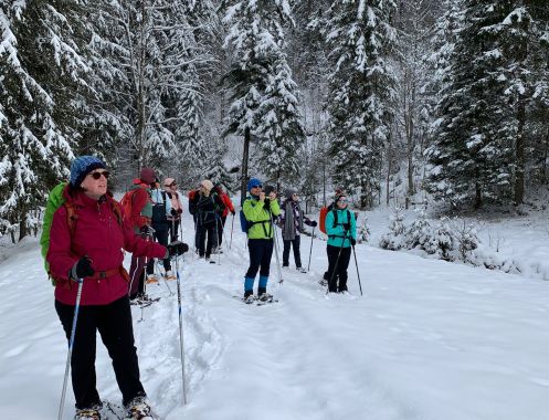 Let's Flow GmbH - Bildungsurlaub Schneeschuhwandern und Resilienz stärken in Kirchdorf / Tirol