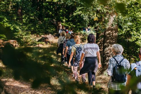 Fastenhof Behm - Bildungsurlaub Basen-Intervallfasten & Feldenkrais auf dem Fastenhof Behm (1 Woche, zzgl. Übernachtung)