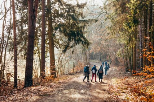 Fastenhof Behm - Bildungsurlaub Hildegardfasten & Yoga auf dem Fastenhof Behm (1 Woche, zzgl. Übernachtung)