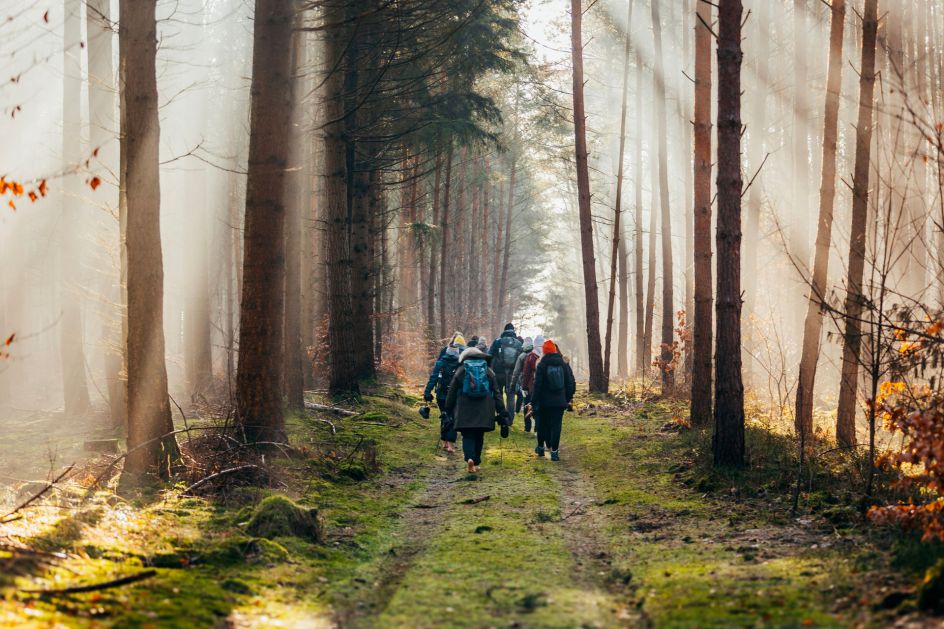 Fastenhof Behm - Bildungsurlaub Scheinfasten & Qigong auf dem Fastenhof Behm (1 Woche, zzgl. Übernachtung)