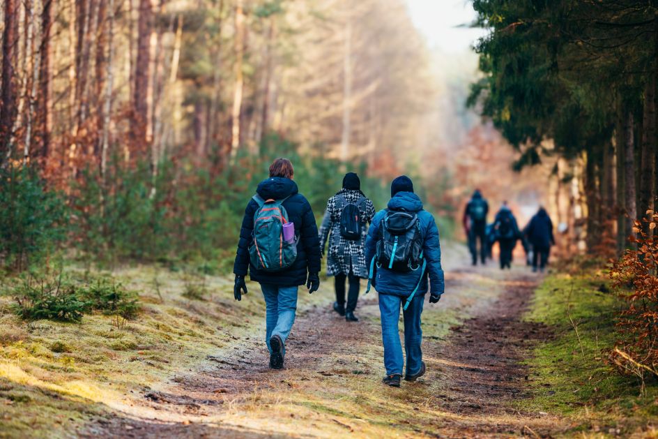 Fastenhof Behm - Bildungsurlaub Scheinfasten & Qigong auf dem Fastenhof Behm (1 Woche, zzgl. Übernachtung)