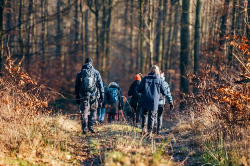 Fastenhof Behm - Bildungsurlaub Scheinfasten & Qigong auf dem Fastenhof Behm (1 Woche, zzgl. Übernachtung)