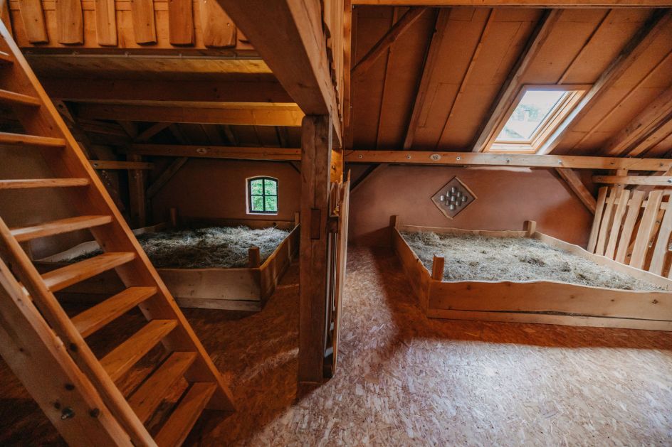 Fastenhof Behm - Bildungsurlaub Fasten mit Waldbaden & Yoga auf dem Fastenhof Behm (1 Woche, zzgl. Übernachtung)