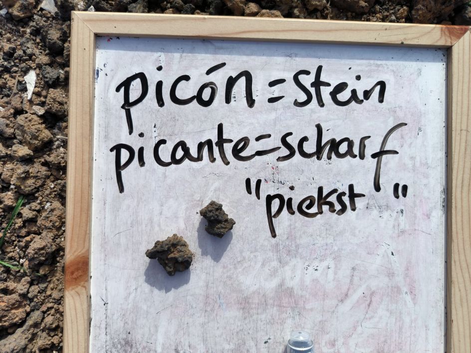 Academia Kunz - Bildungsurlaub Spanischkurs auf Fuerteventura für alle Sprachniveaus möglich  (10 Tage)